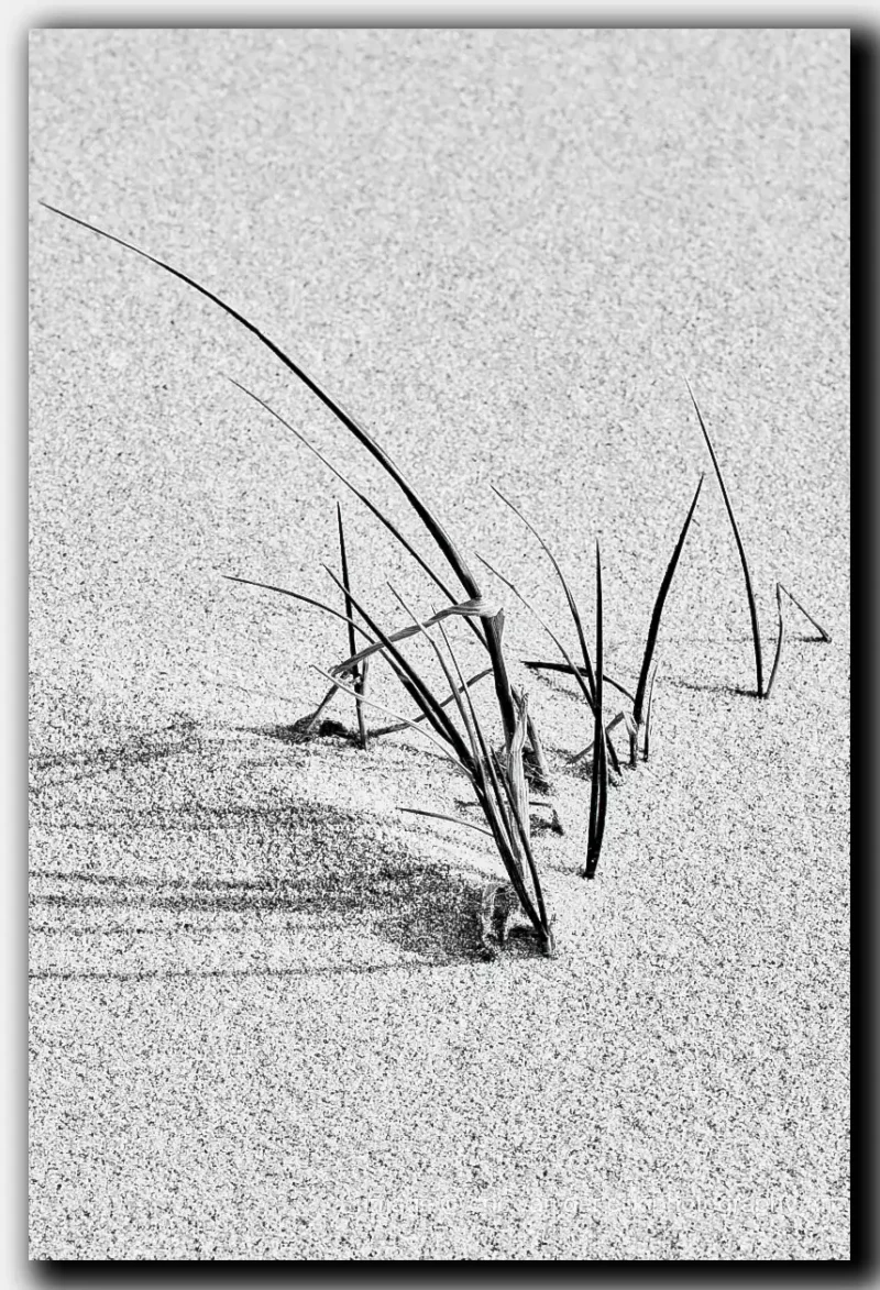 Minimalistisch zwart-wit beeld van een strand met serene lijnen en ruimte