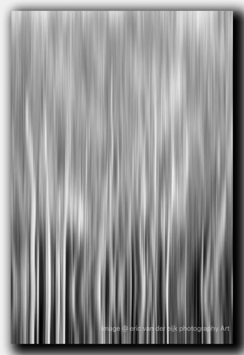 een verticaal abstract lijnenspel in zwart wit