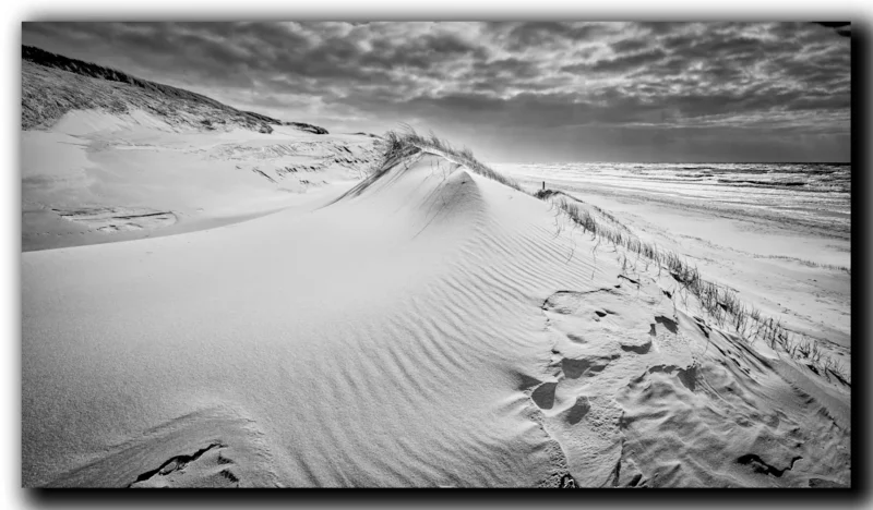 Noordzeestrand en duinen in monochroom